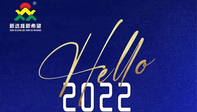 再見(jiàn)2021！你好2022