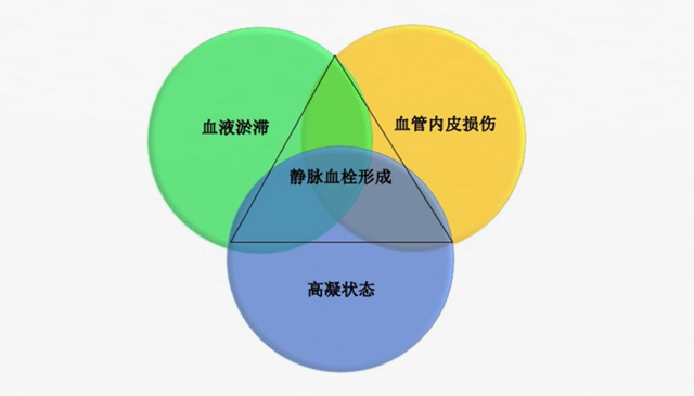沉默殺手 VTE，如何進行抗凝治療？三問搞懂