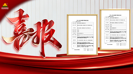 重磅捷報！雙證落地！新希望醫(yī)療深耕VTE防治，康復領(lǐng)域再添硬核利器