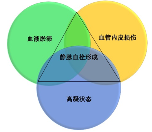 沉默殺手 VTE，如何進(jìn)行抗凝治療？三問(wèn)搞懂