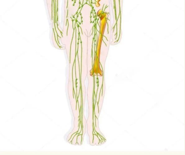 深靜脈血栓類似病癥的認(rèn)識(shí)與區(qū)分