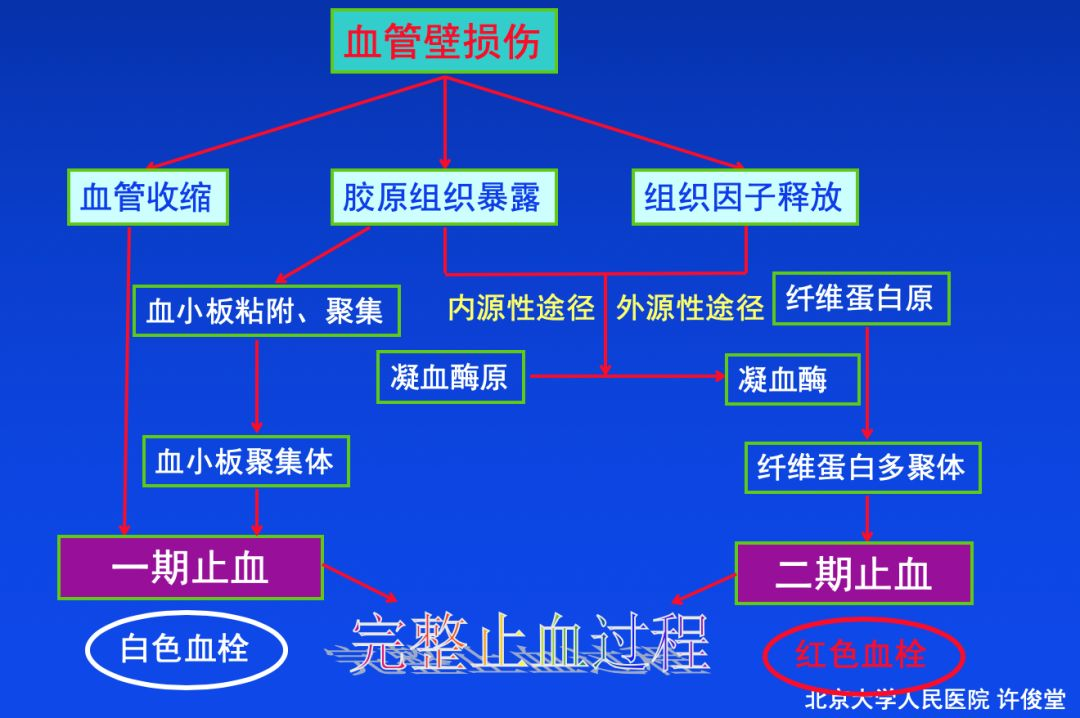 血栓形成，三個要素細分說