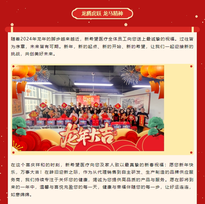 龍嘯新春，共赴新程